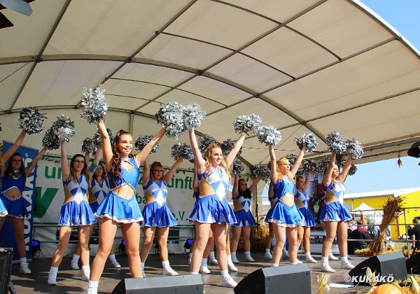 Erntefest Hochschule Anhalt